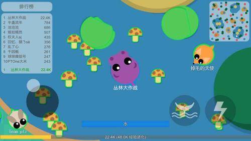 丛林大作战