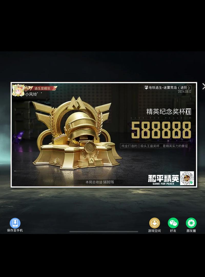 金砖弱网和平精英VIP购买