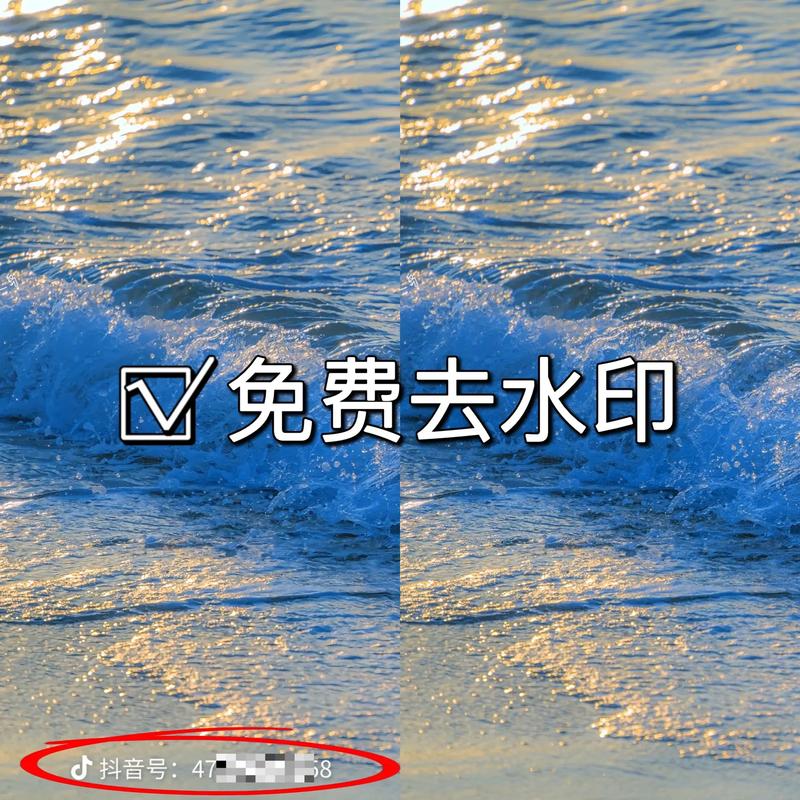 去水印可提版