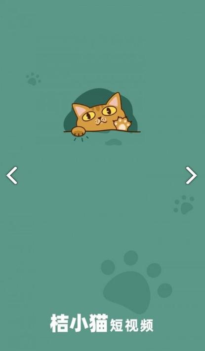 桔小猫