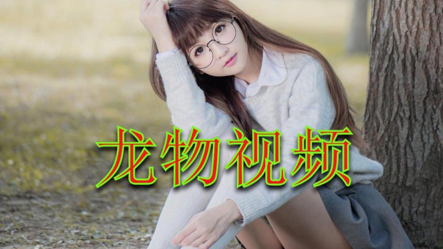龙物视频