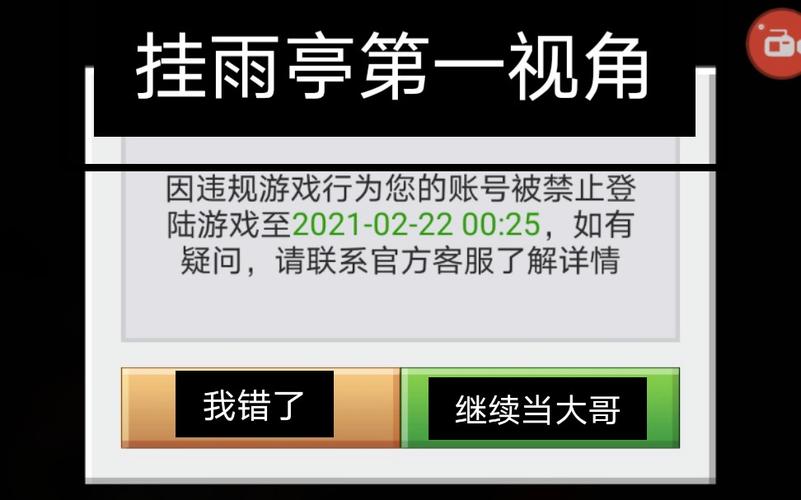 花雨庭开挂辅助