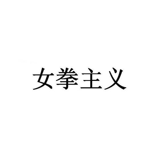 女拳主义美化版
