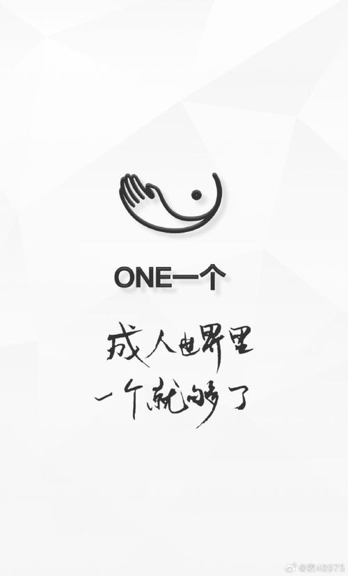 成年的世界one一个就够了专业版