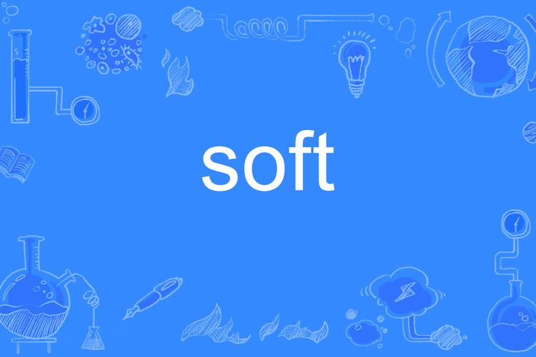 SoftPoint软件