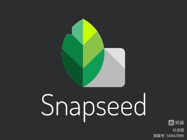 snapsee