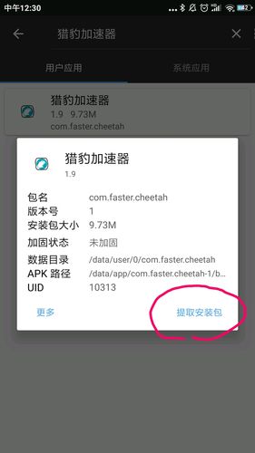 猎豹加速官网版