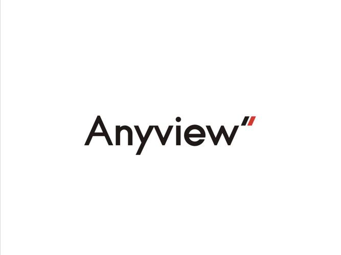 ANYVIEW安卓版特别版