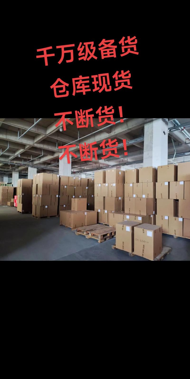 松鼠仓库官网版无限能量修改版