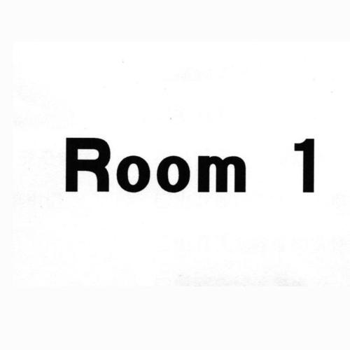 1room中文汉化版安卓版