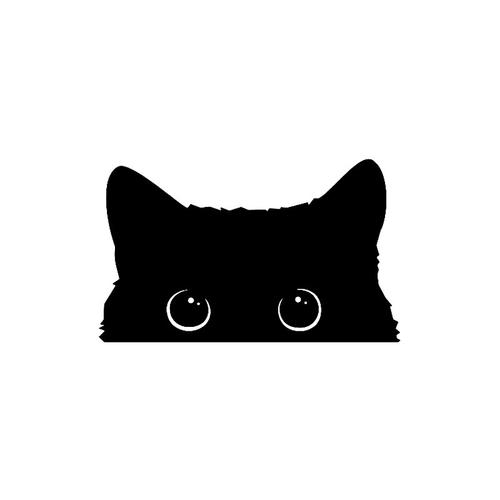 黑猫动漫APP