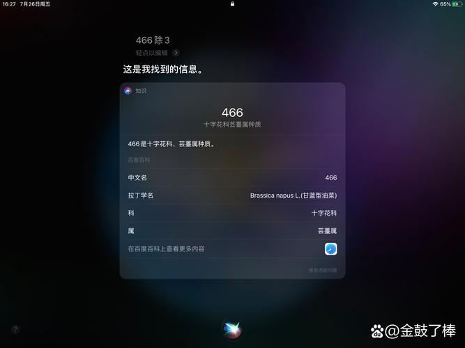 SIRI语音生成器