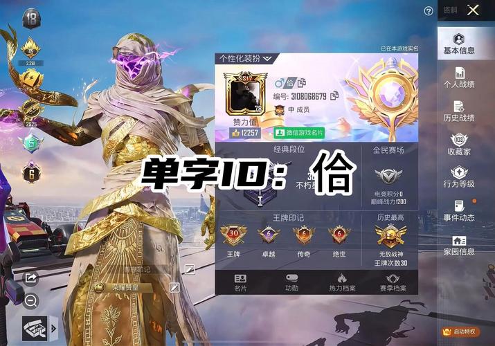 吃鸡单字ID生成器下载永久免付费版