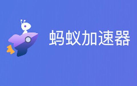 蚂蚁加速器