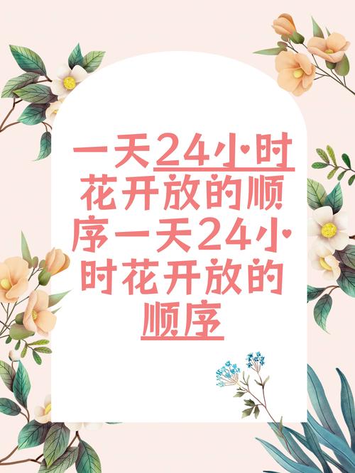 花季每天一次美好的夜晚从花季开始电子版