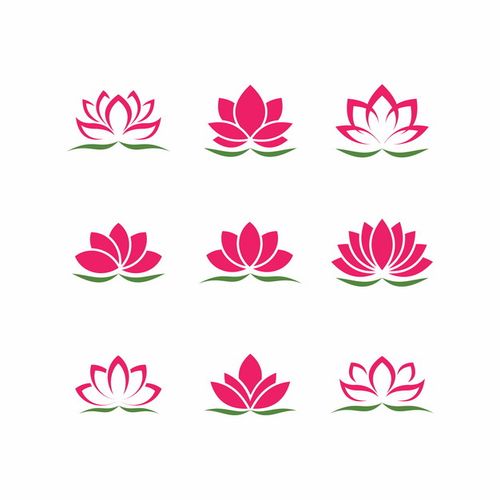 荷花网
