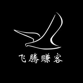 飞腾整合版