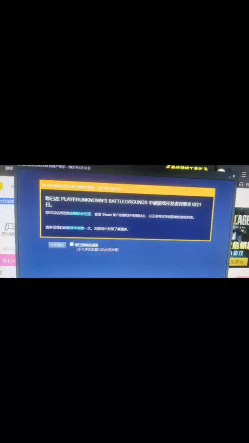 和平精英被检测