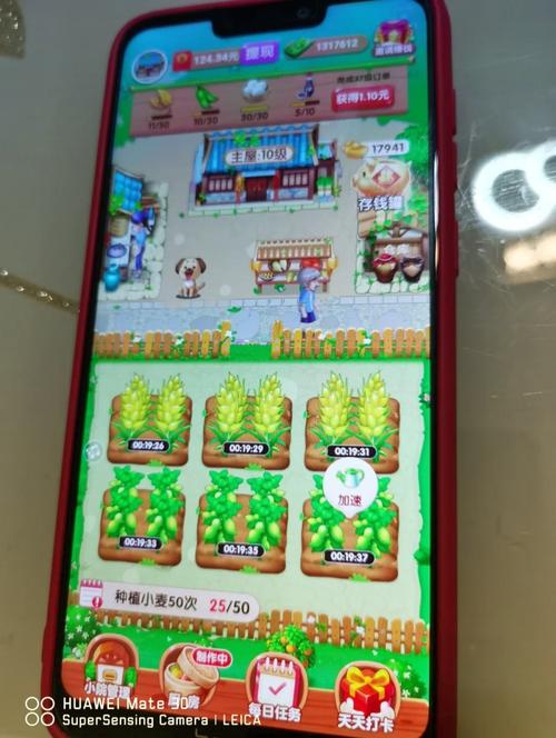 爷爷的小农院赚