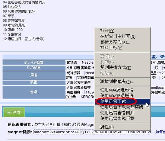 Magnet磁