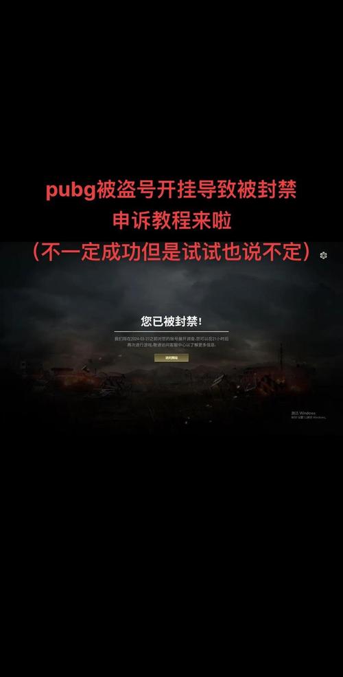 pubg无心直