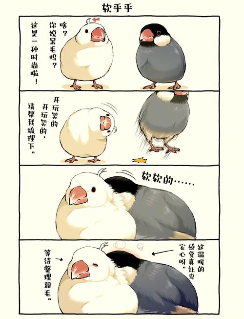 鸟鸟韩漫轻量版