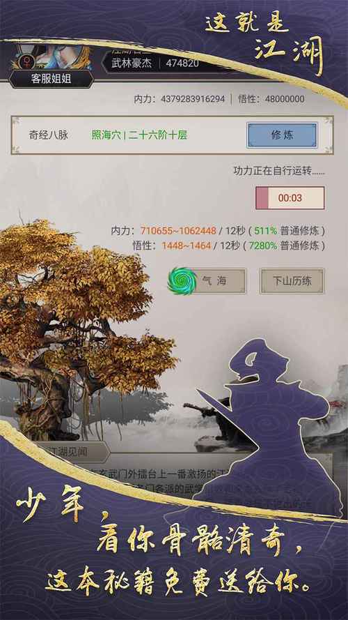这就是江湖修改