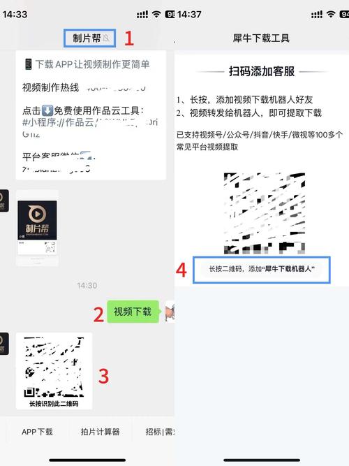 数据号抓号器视
