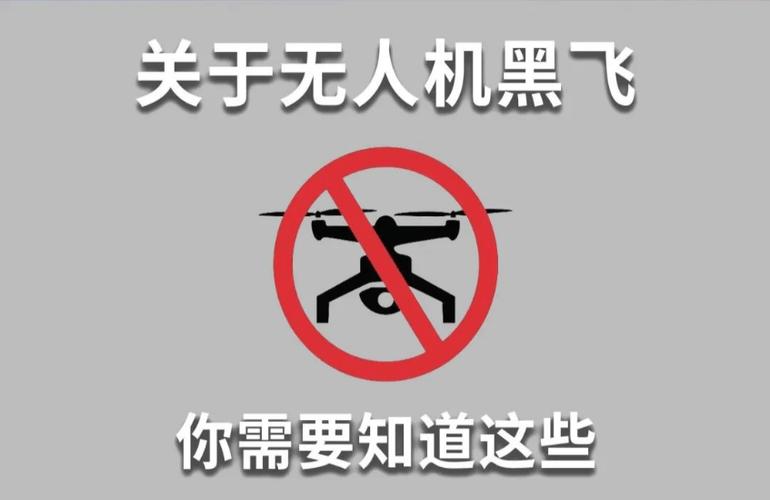黑飞修改器官网