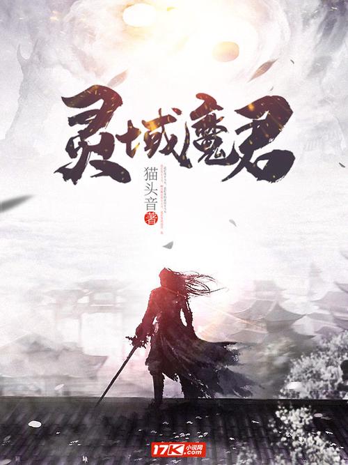 灵域专业版