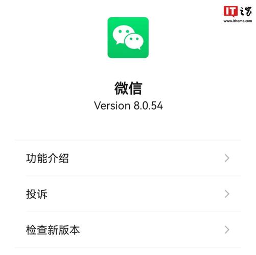 VX正版