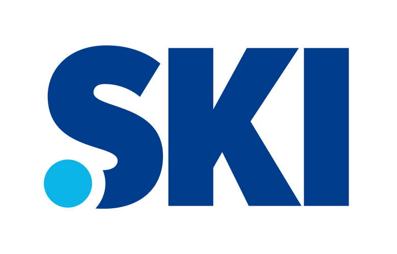 skidsense