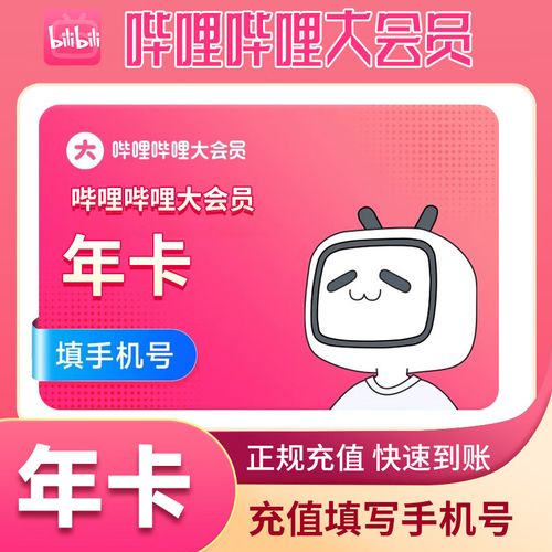 bilibili哔哩哔哩vip