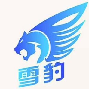 雪豹视频下载2025年最新版绿色版汉化版
