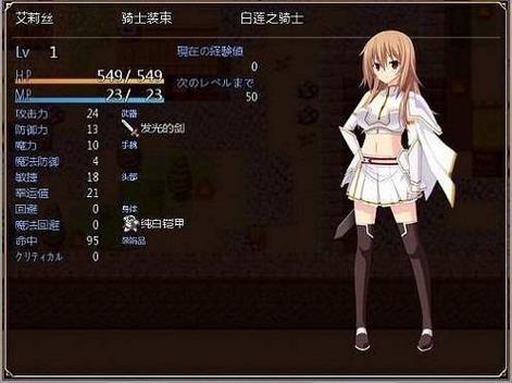 圣装女骑士