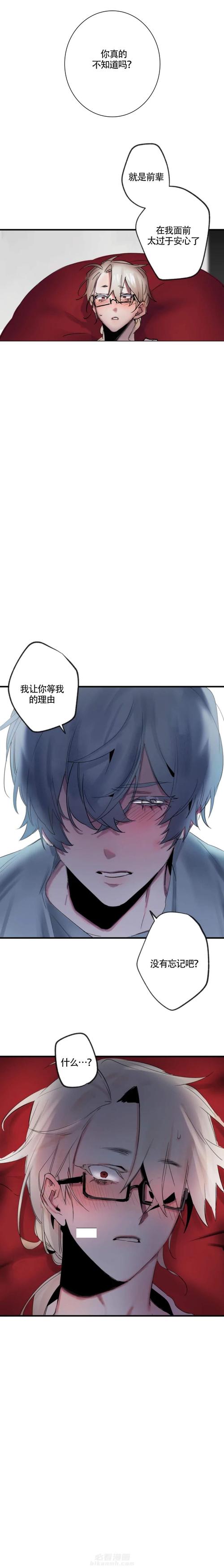 小野猫驯服手册漫画