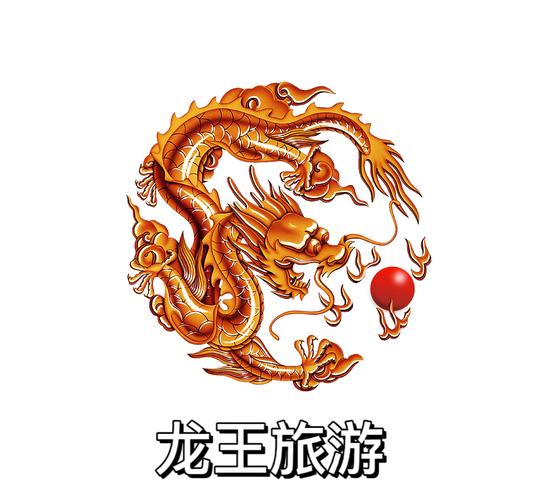 龙王直装永久卡免谷歌汉化版