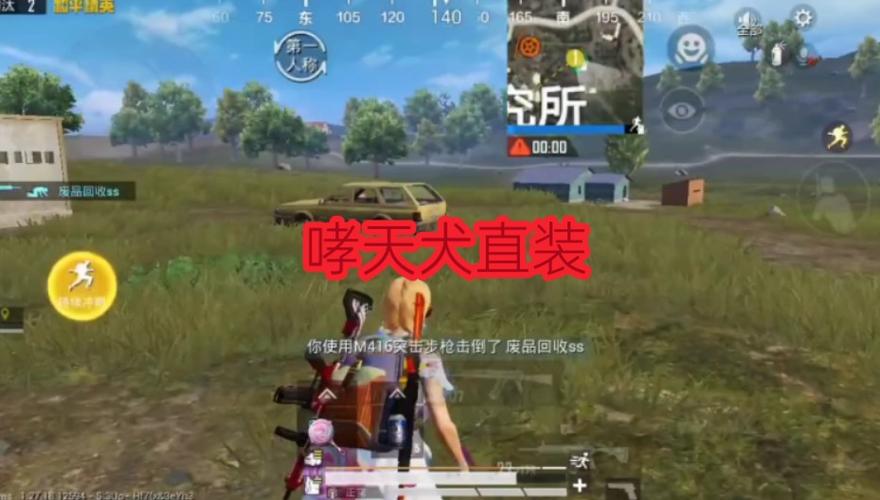 和平DY直装