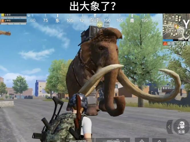 和平精英大象直国语版