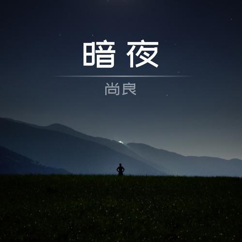 暗夜汉化版