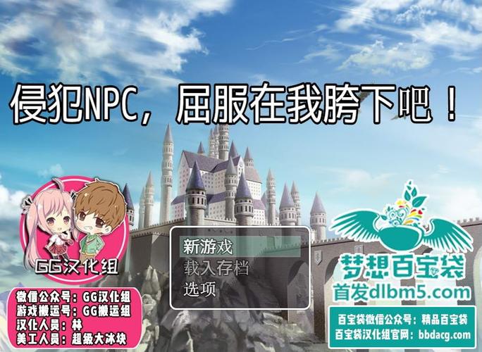 侵犯npc完整