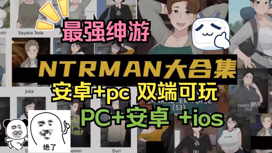 ntrman安卓汉化下载