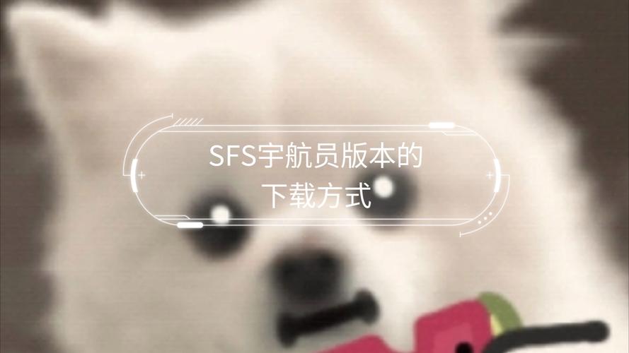 sfs宇航员