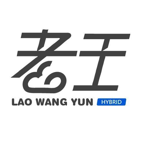 老王纯净无广告版