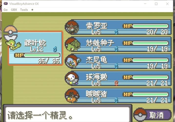 口袋妖怪漆黑的魅影内置作弊菜单口袋妖怪漆黑的魅影内置作弊菜单下载安卓破解游戏版