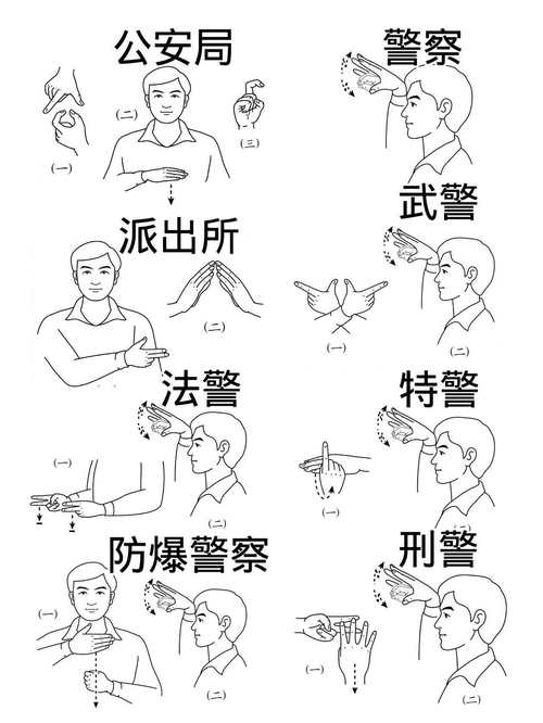 国家手语版视频