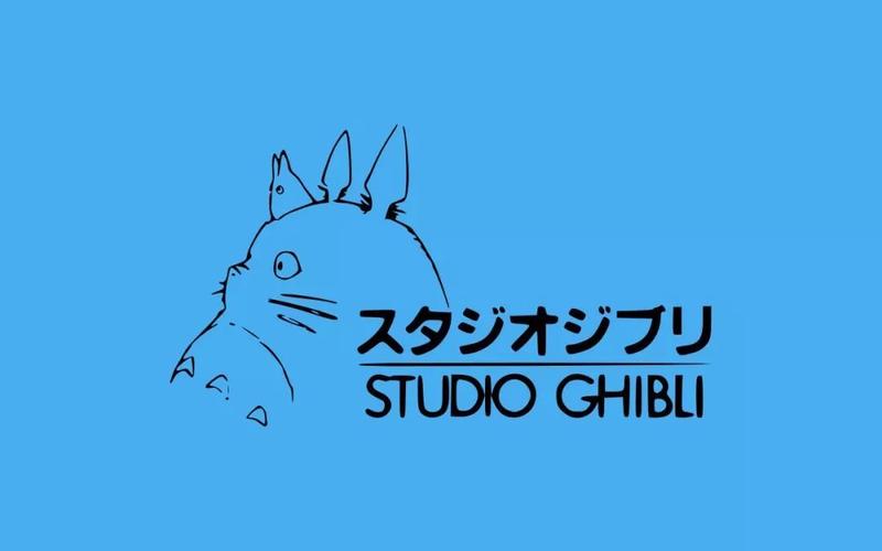龙猫直装