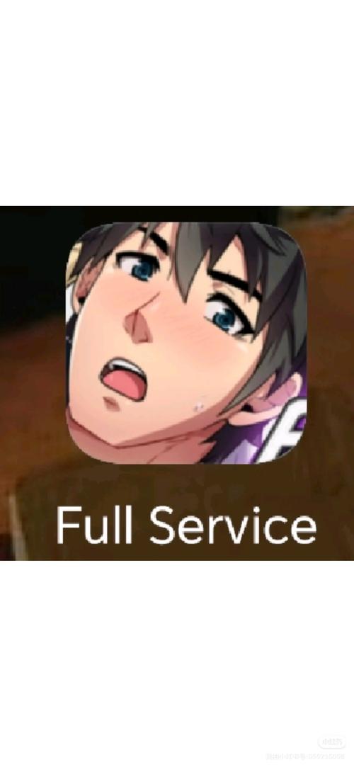 fullservice版本