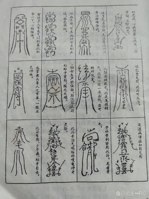 道家