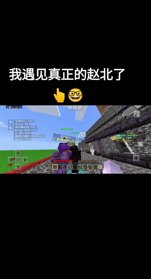 mc赵北制裁盒无死亡